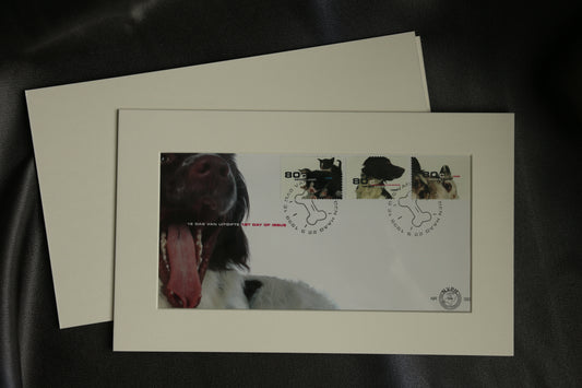 Framed First Day Cover of Netherlands Pet Series (1998) – Dog, Cat, Rabbit
